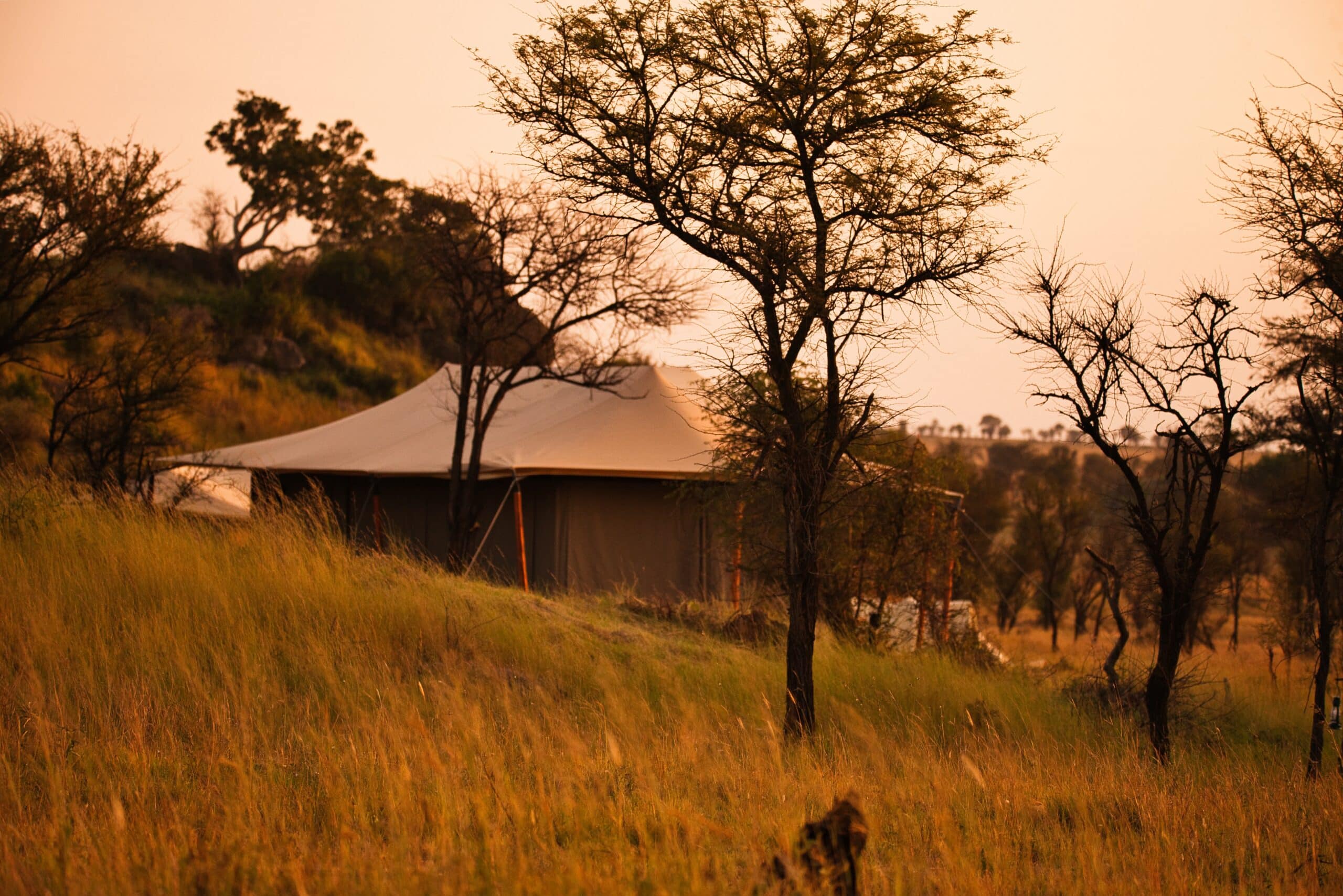 Wildlux Serengeti Camp (23)