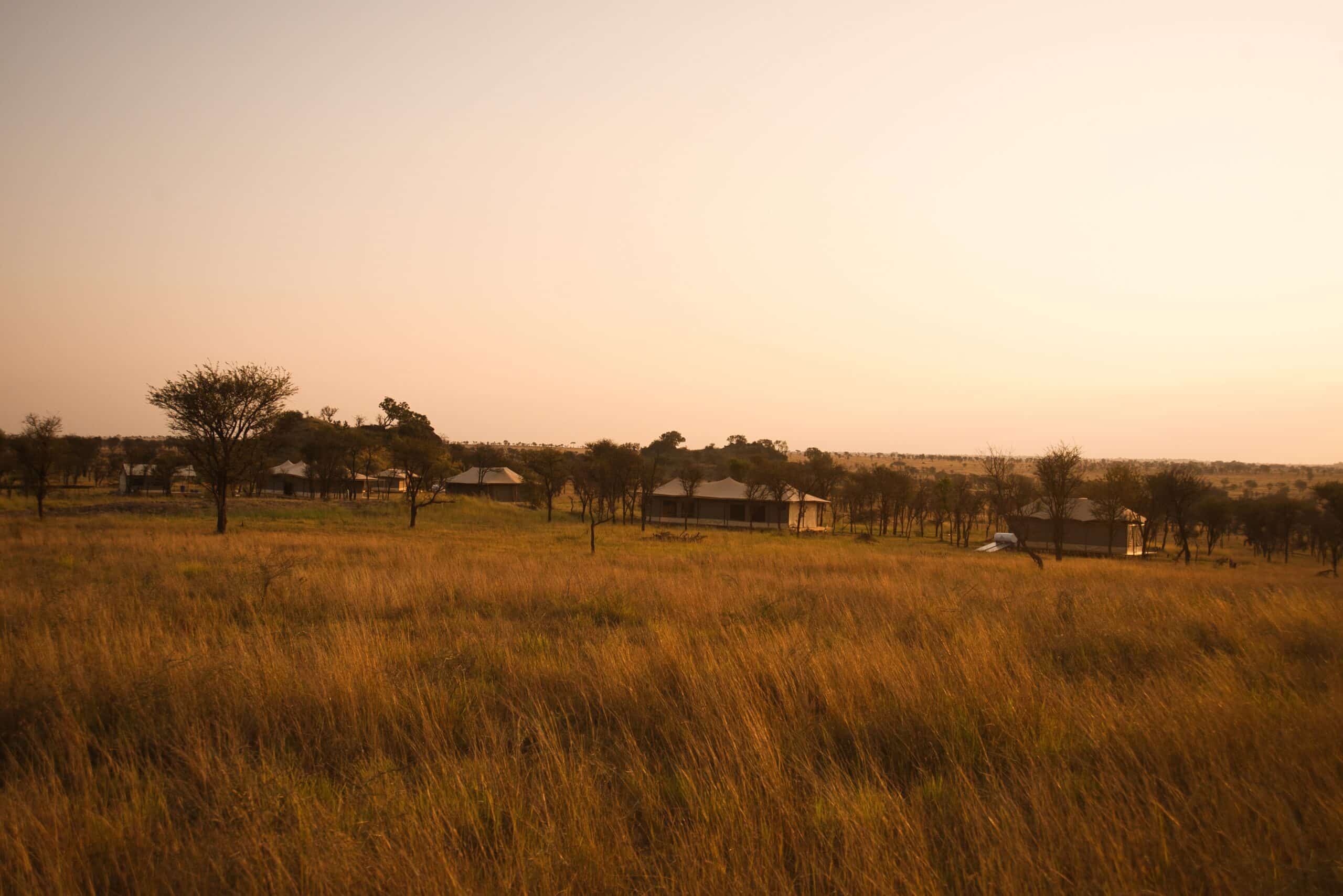 Wildlux Serengeti Camp (26)