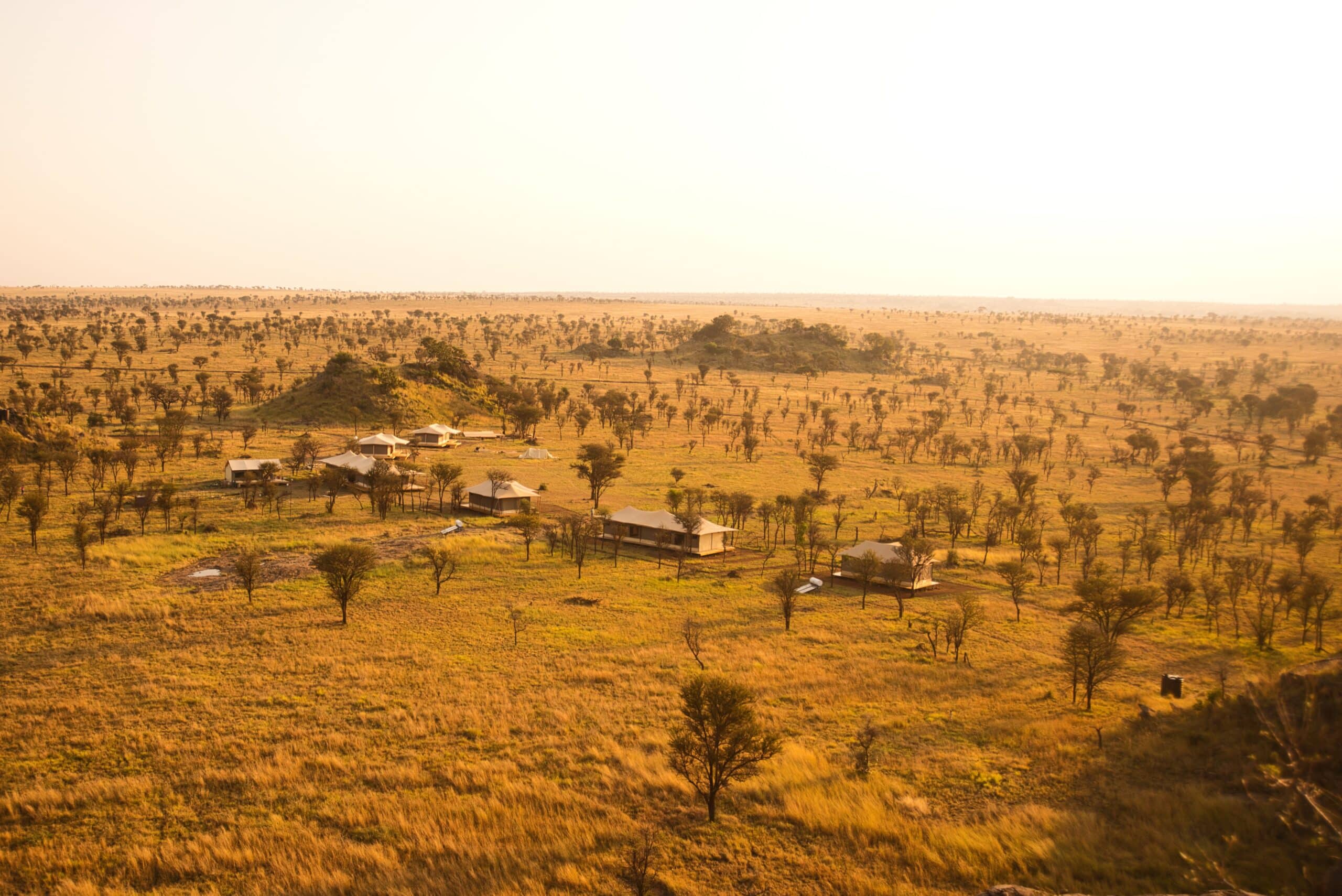Wildlux Serengeti Camp (31)