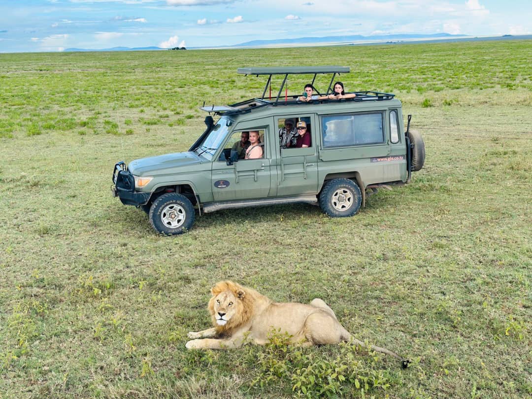 Tanzania Safari