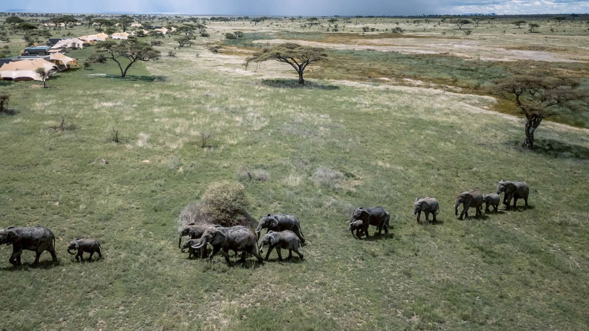 The Retreats at Namiri Plains (8)