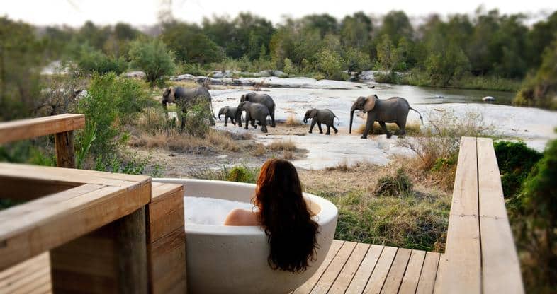 Luxury Safaris In Africa