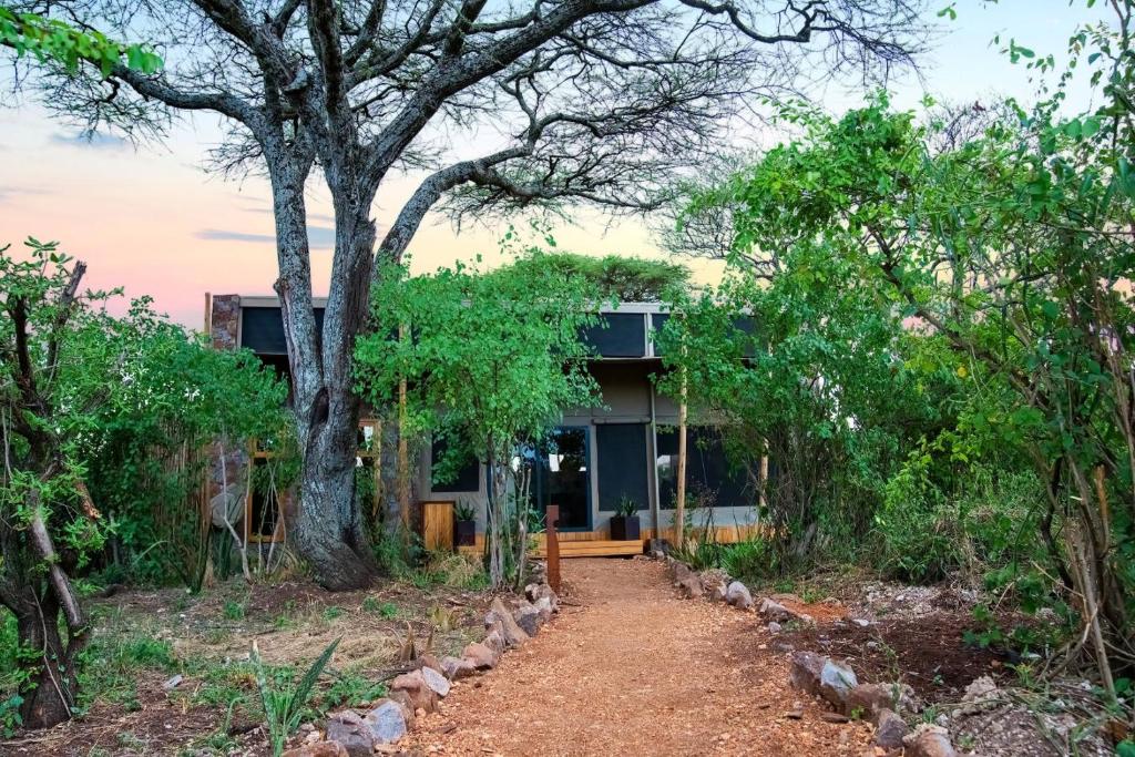 Mapito Safari Camp