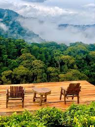 Bwindi Impenetrable National Park gallary 2