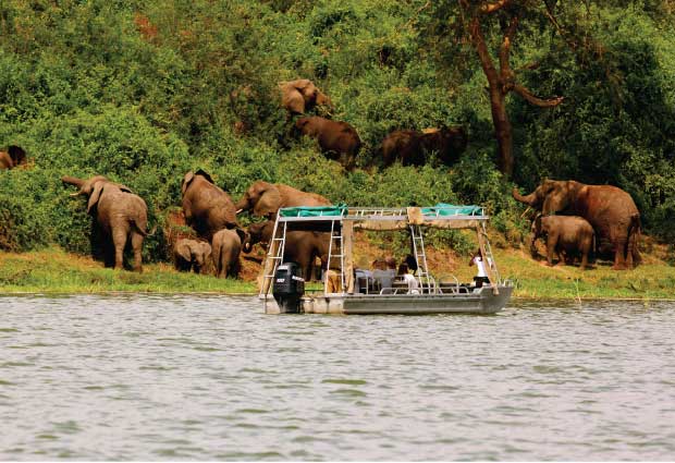 12 Days Best Uganda Wildlife Special