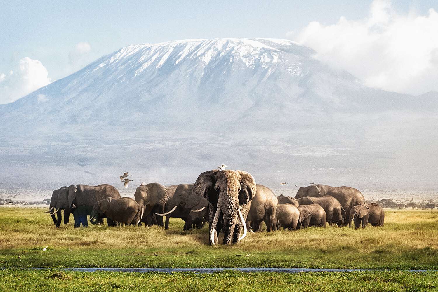 Amboseli National Park7