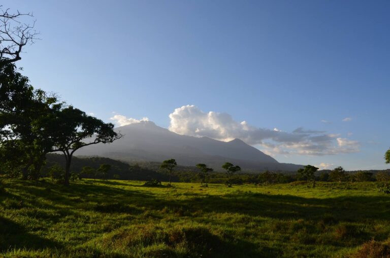 Arusha National Park Mount Meru 165