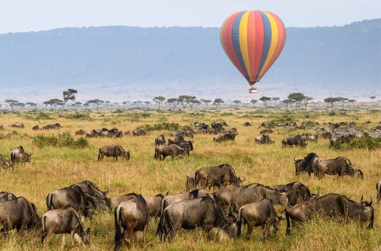 Best Time for Hot Air Balloon Safari in the Maasai Mara 1024x675