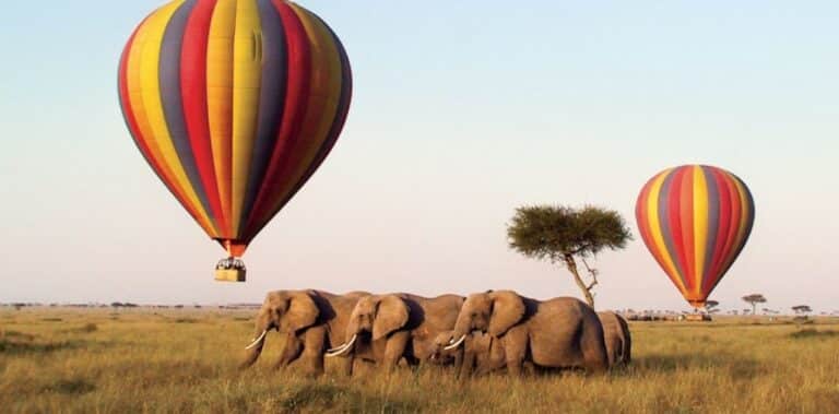Hot air Balloon Safaris 1030x508
