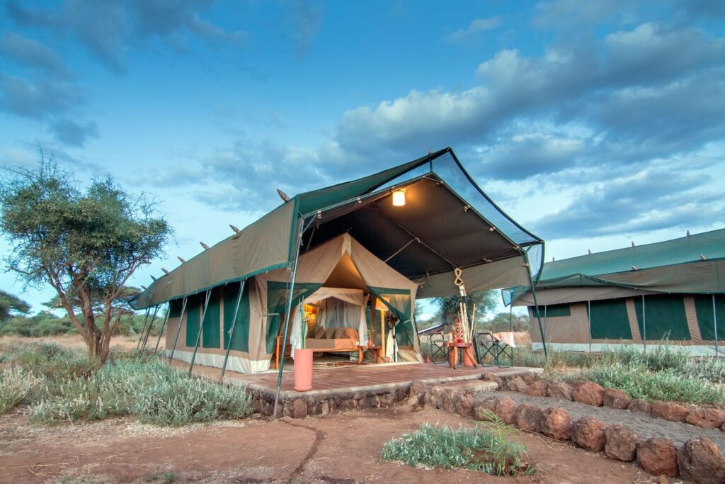 Kibo safari camp