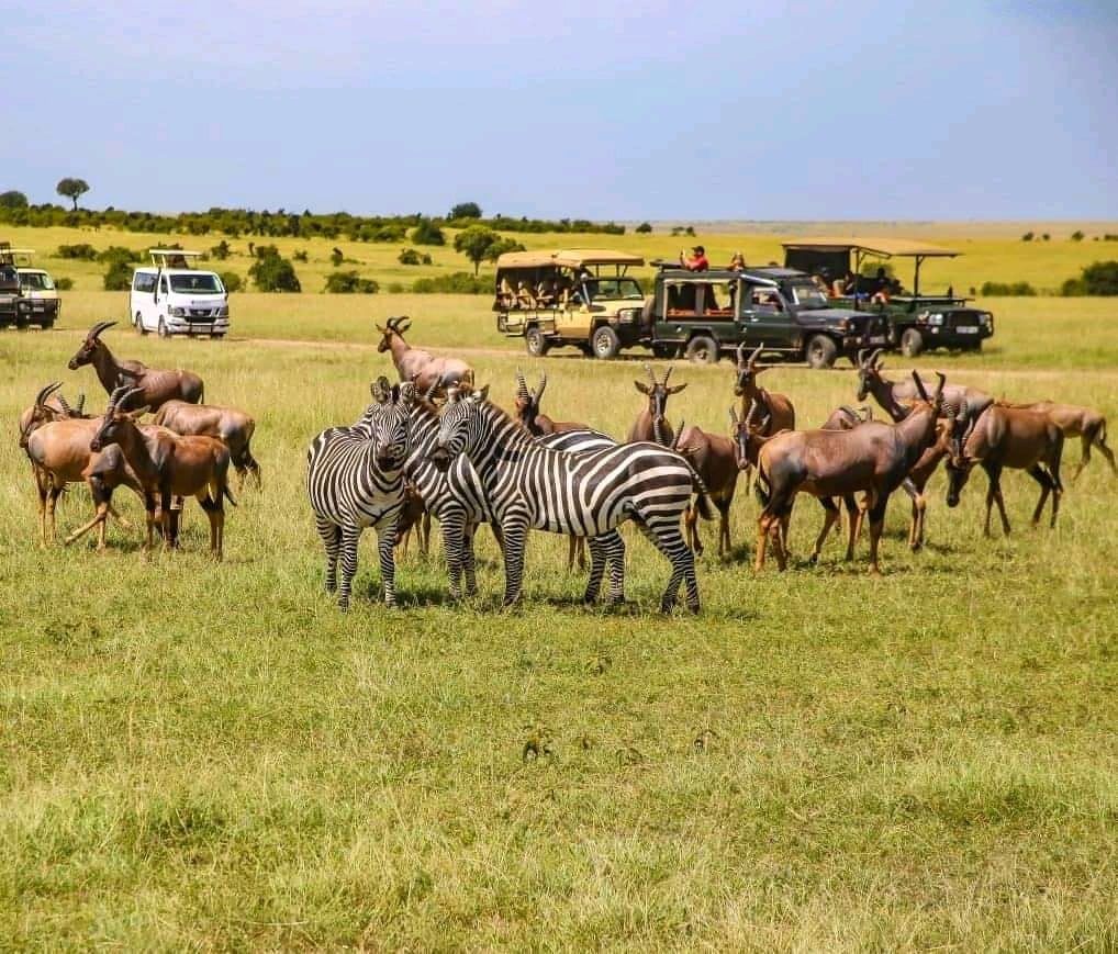 Masai Mara 1