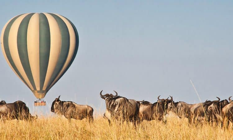 Masai Mara Hot Air Balloon Safari