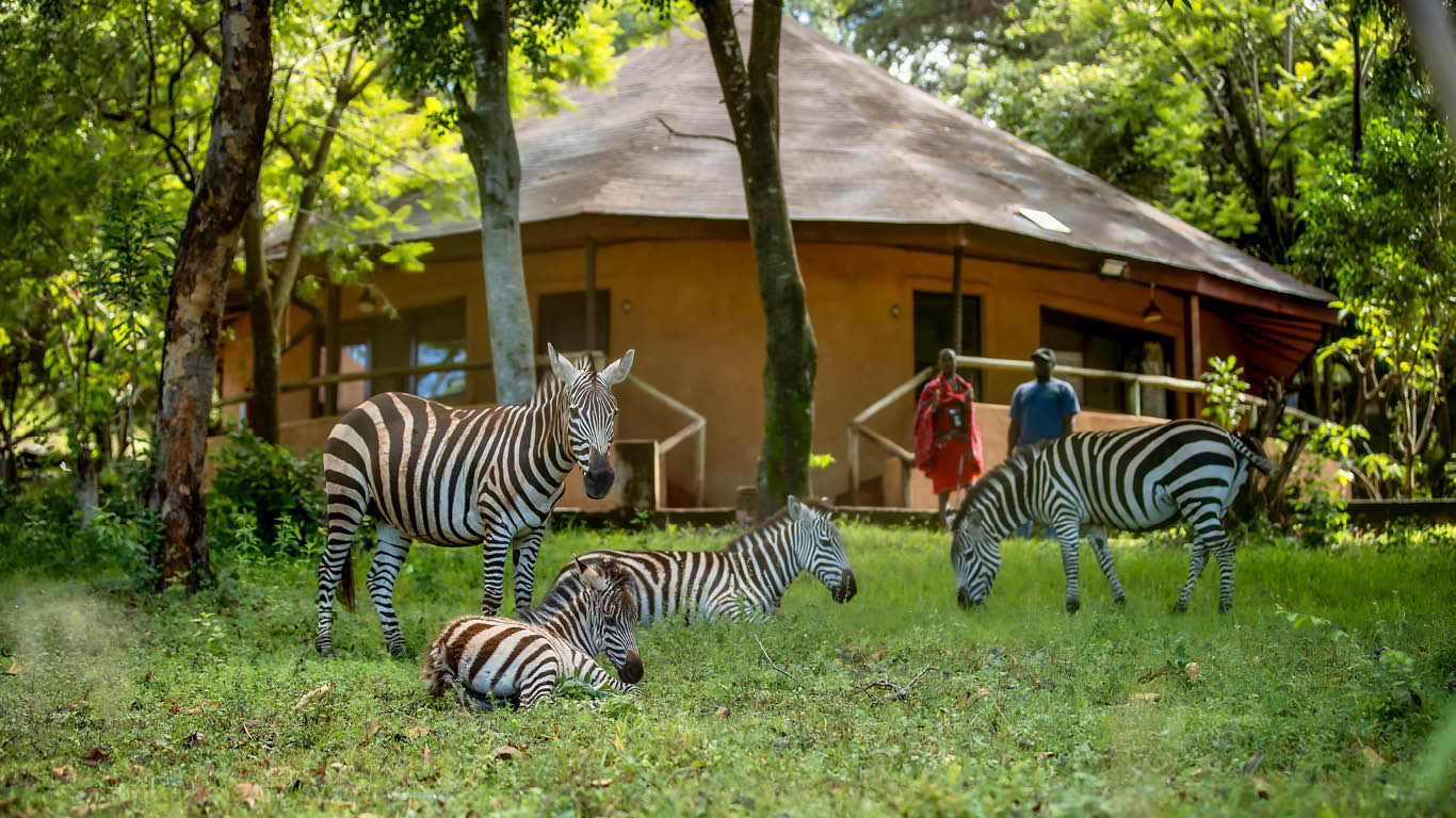 Masai Mara Sopa Lodge4