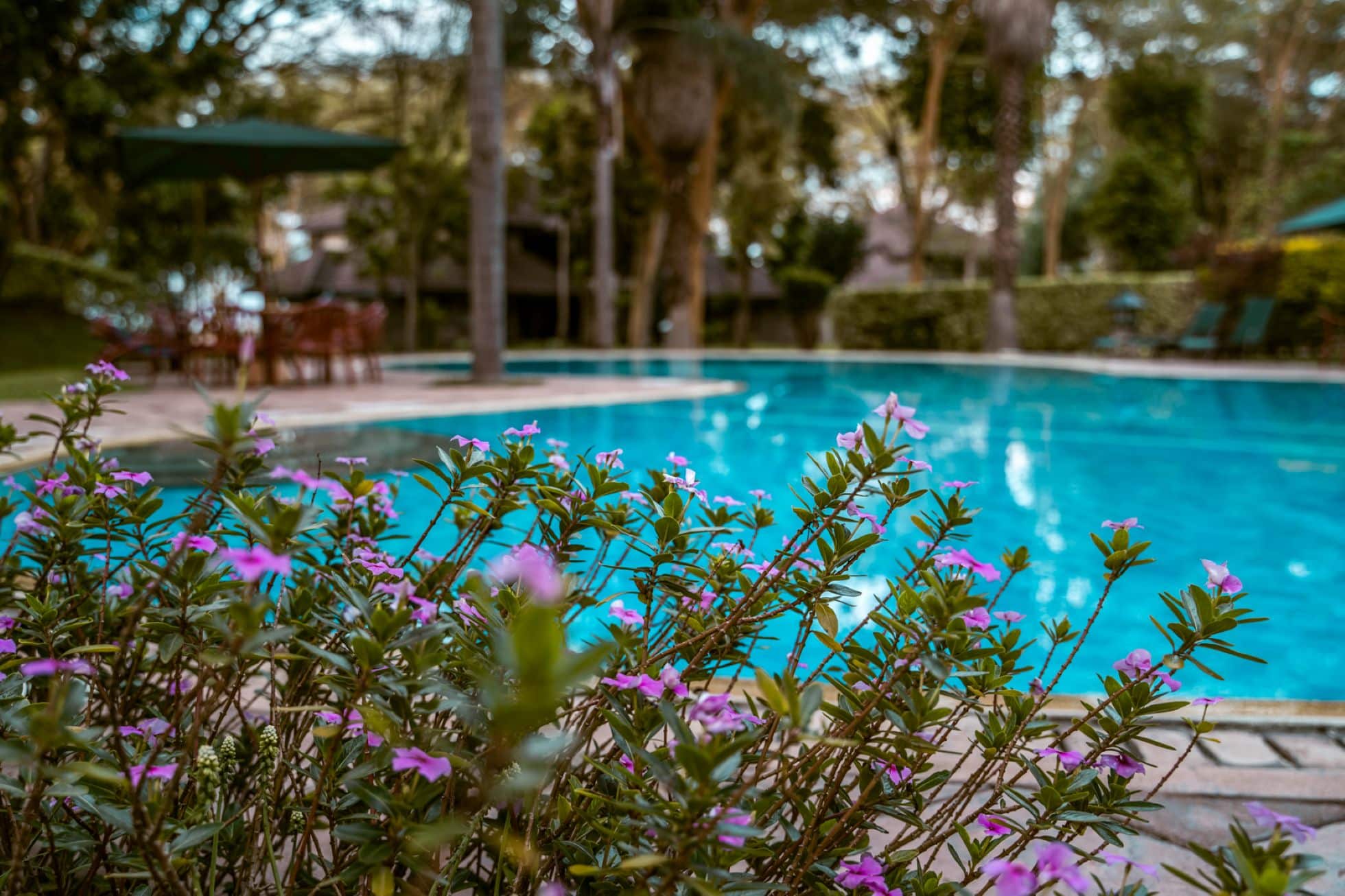 Naivasha Simba Lodge7