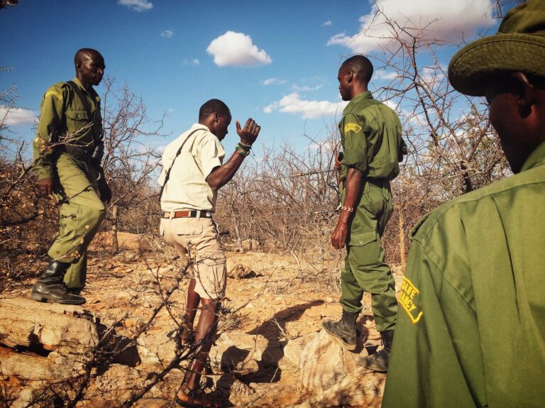 Rhino Tracking by Rebecca Roth