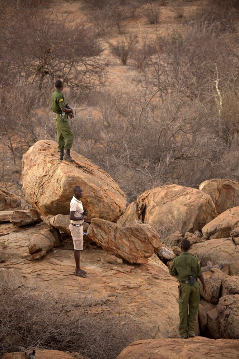 Rhino Tracking by Tarn Breedveld 6