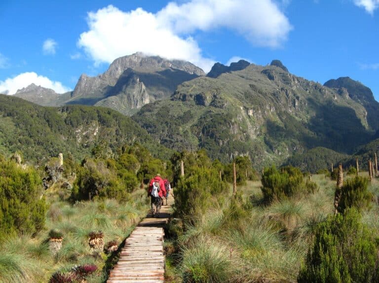 Rwenzori Mountains National Park4
