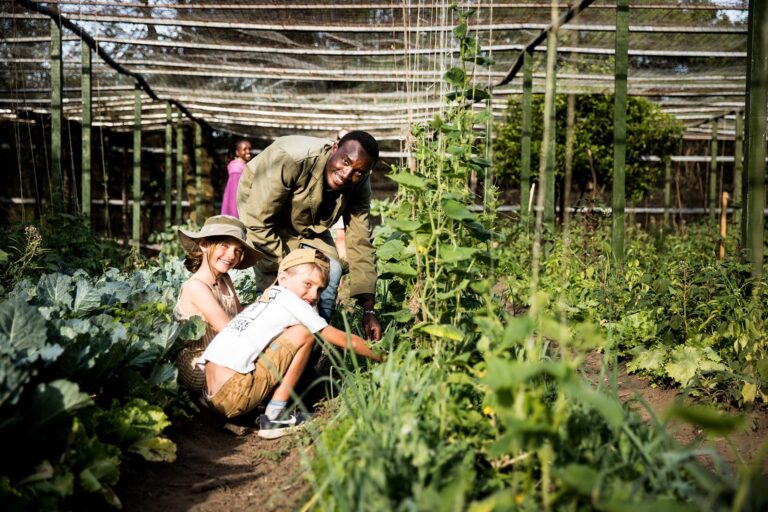 Saruni Basecamp Family Safari harvesting vegetables