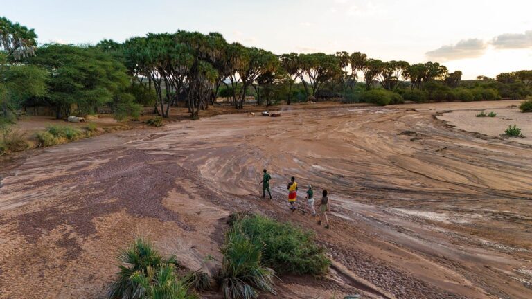 Saruni Basecamp Saruni Rhino safari walk