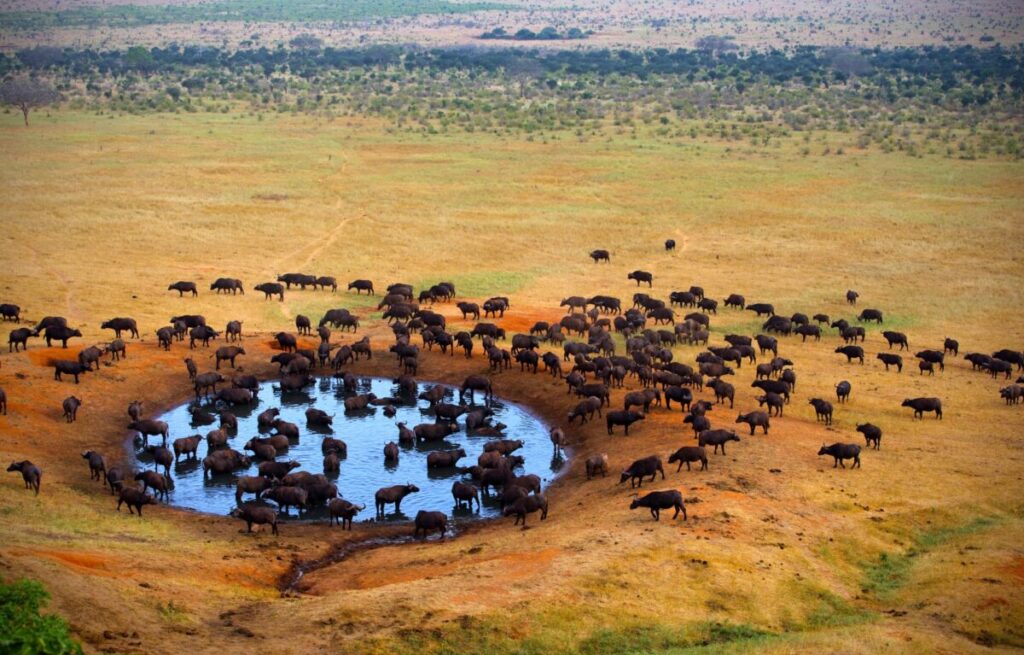 Tsavo West National Park 1 1200x767
