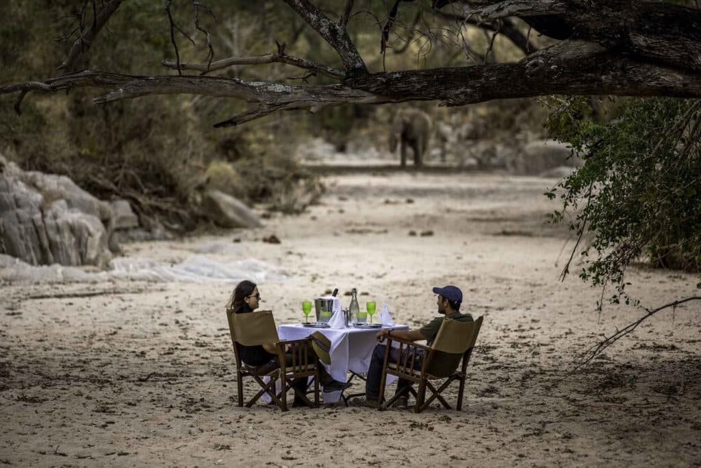 Why People Fall in Love with Safari