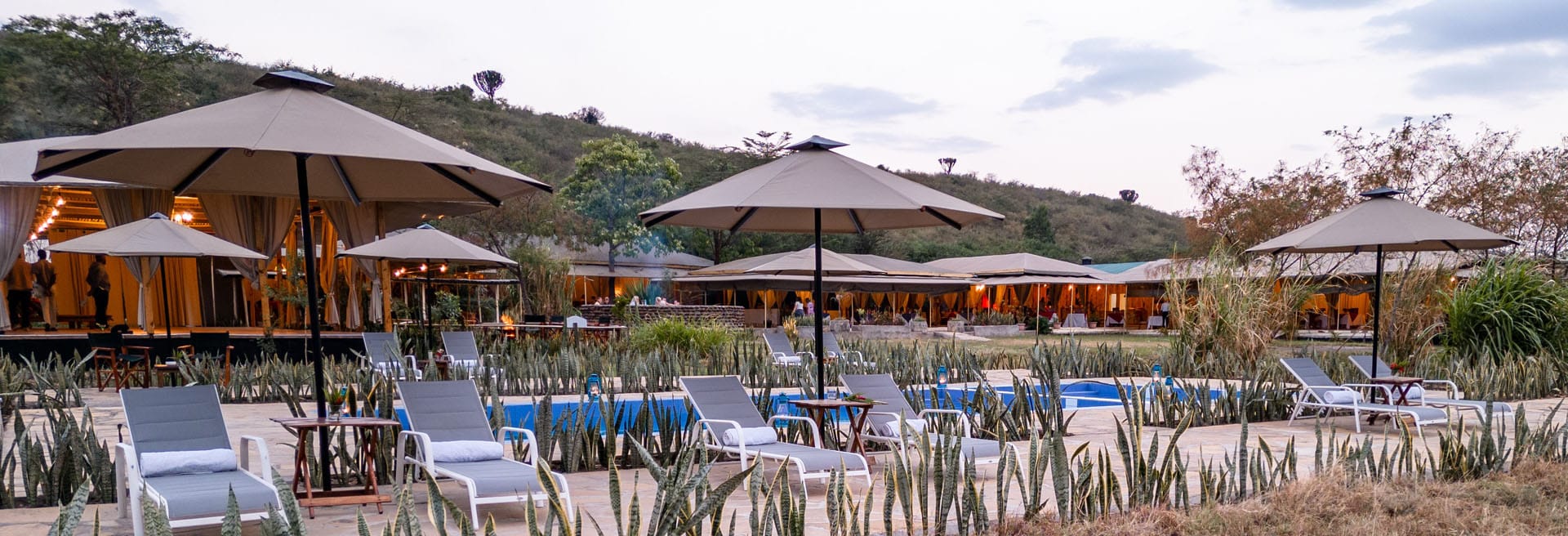 Zebra Plains Mara Camp5