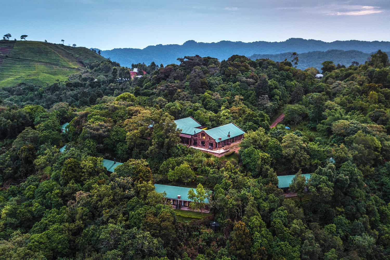 cloudsmountaingorillalodge2