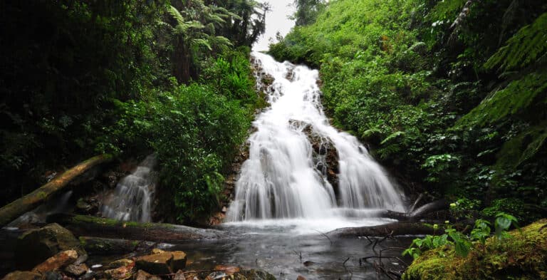 cropSR001409 2000x1024