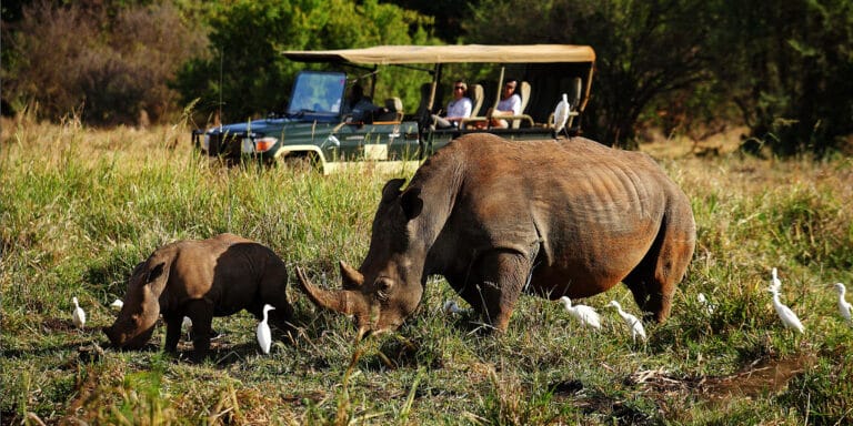 elsas kopje meru rhino sanctuary
