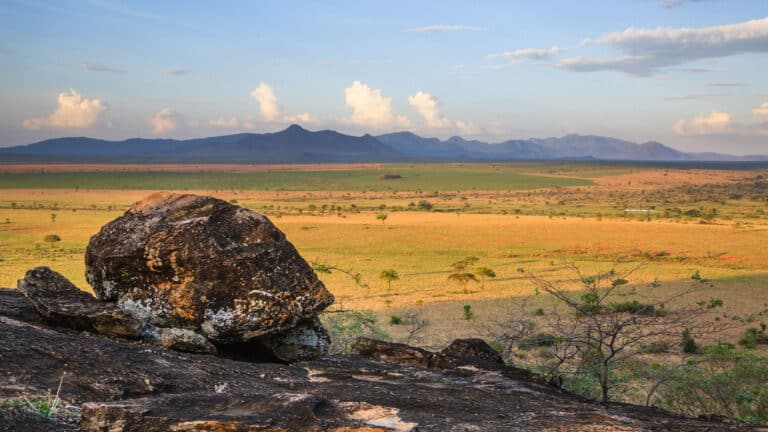 kidepo valley national park (2)