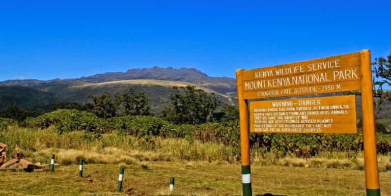 mount kenya national park (2)
