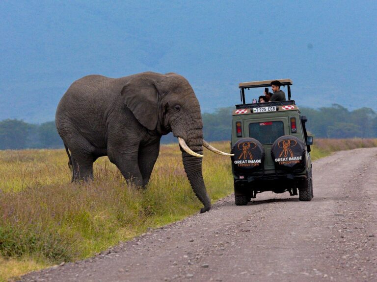 ngorongoro crater tanzania (1)