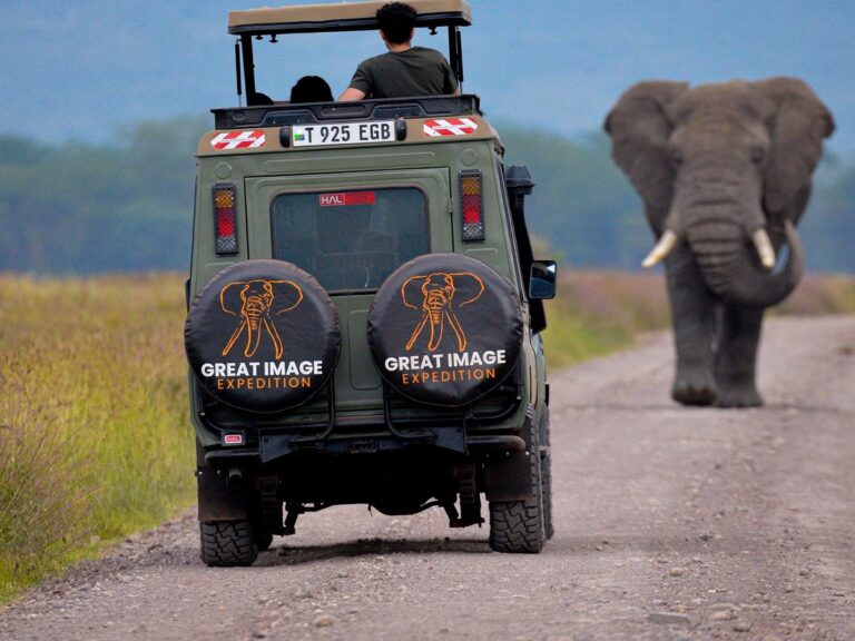 ngorongoro crater tanzania