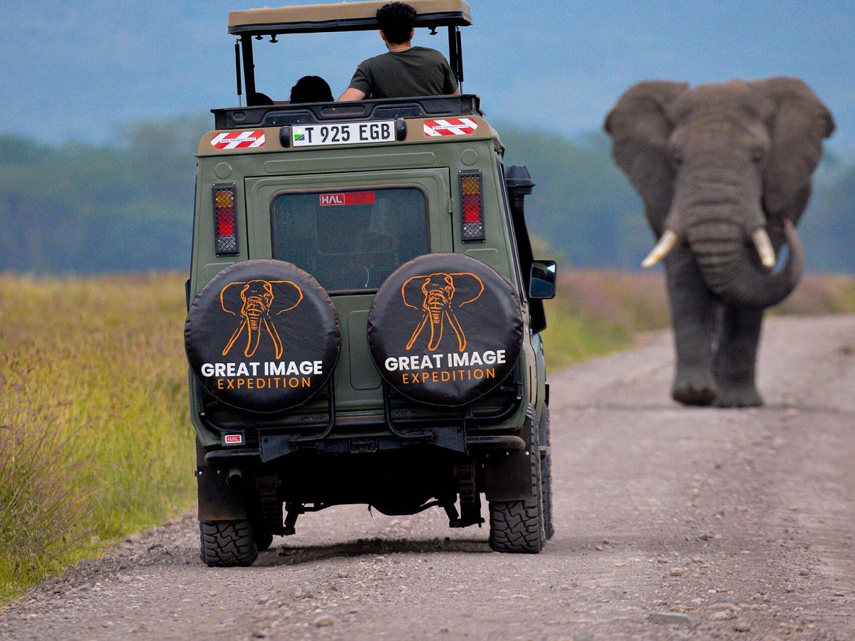 ngorongoro crater tanzania ngorongoro crater tanzania