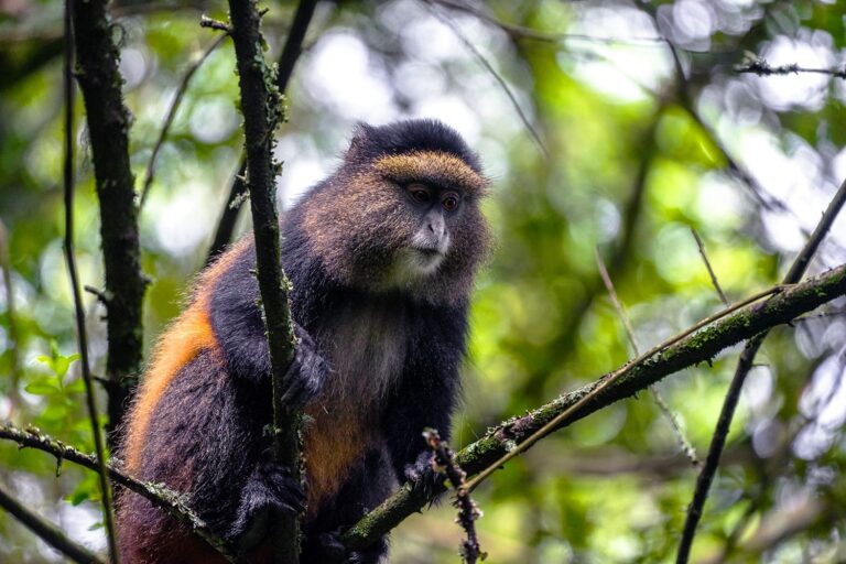 shutterstock 1738044947