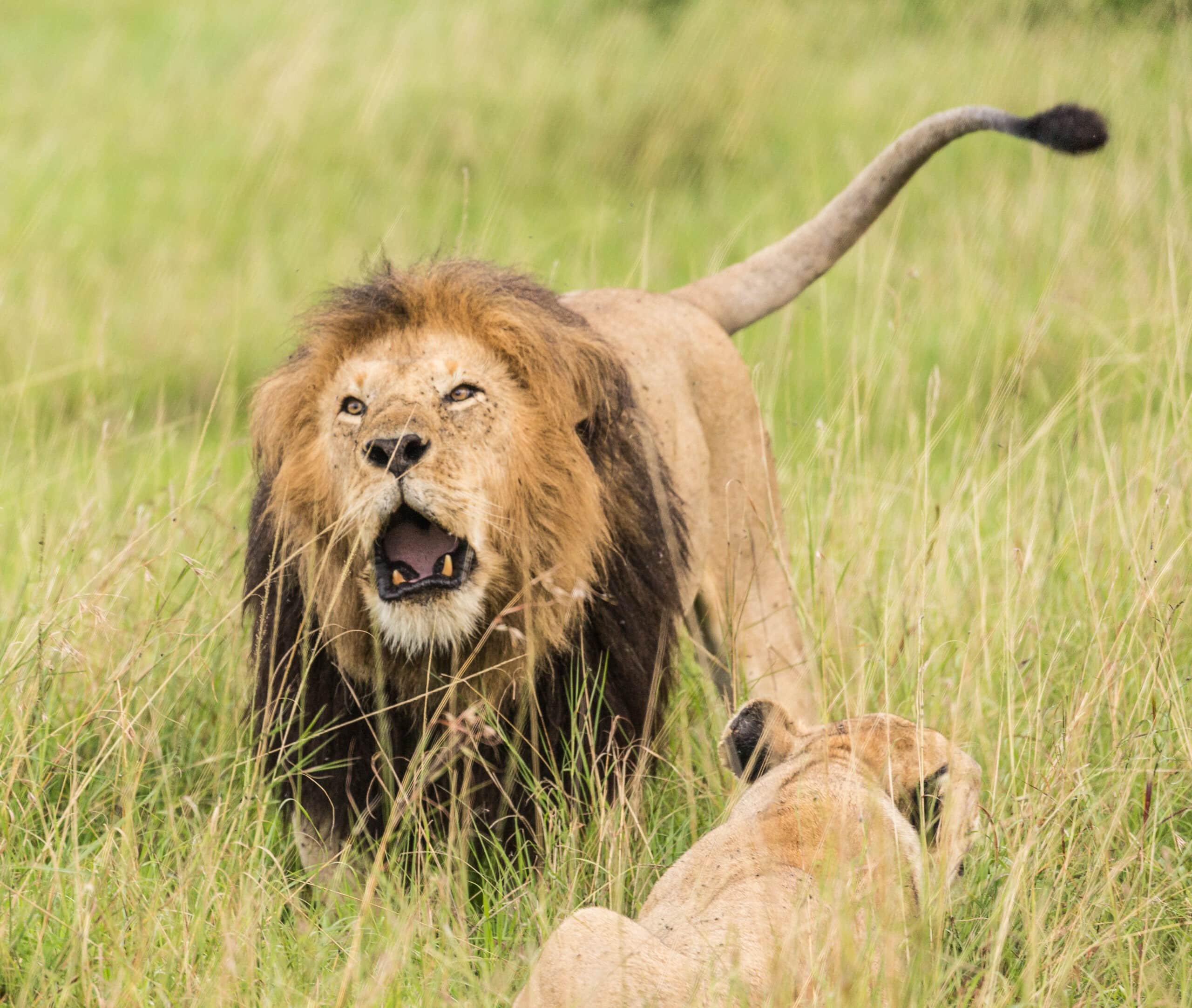 yourshot 1022402 6260160 scaled