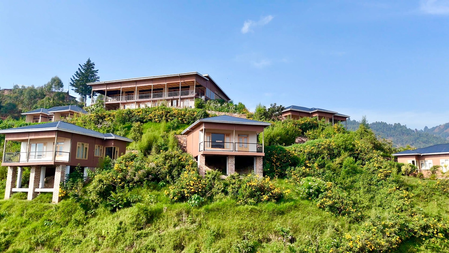 Burunga Gorilla Lodge (12)