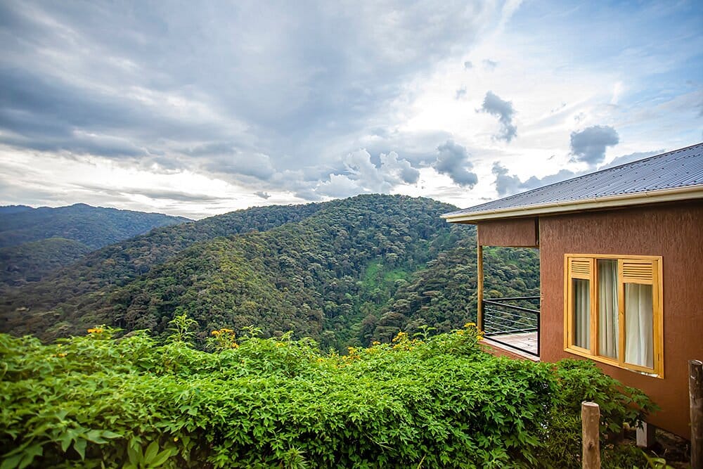 Burunga Gorilla Lodge (13)