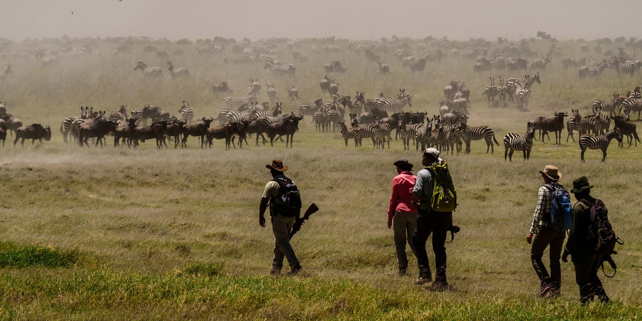 Walking in the Serengeti