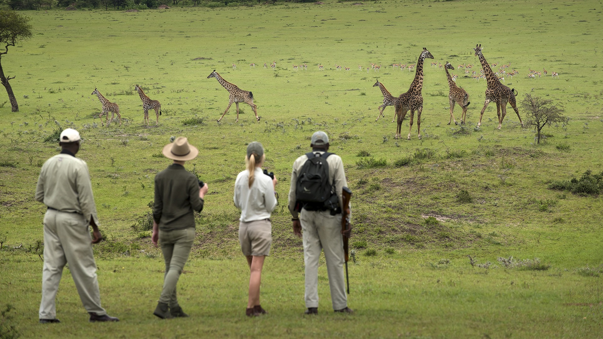 Walking in the Serengeti