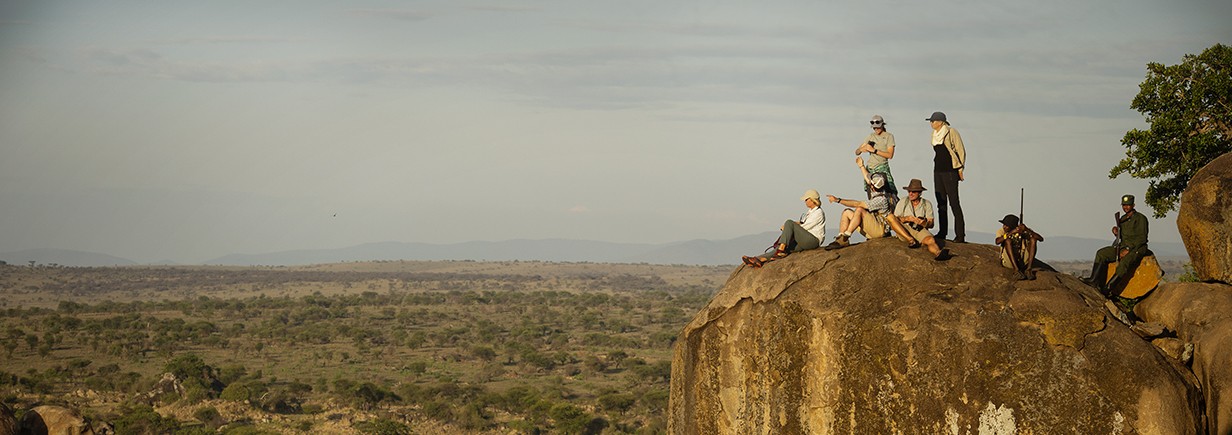 Walking in the Serengeti