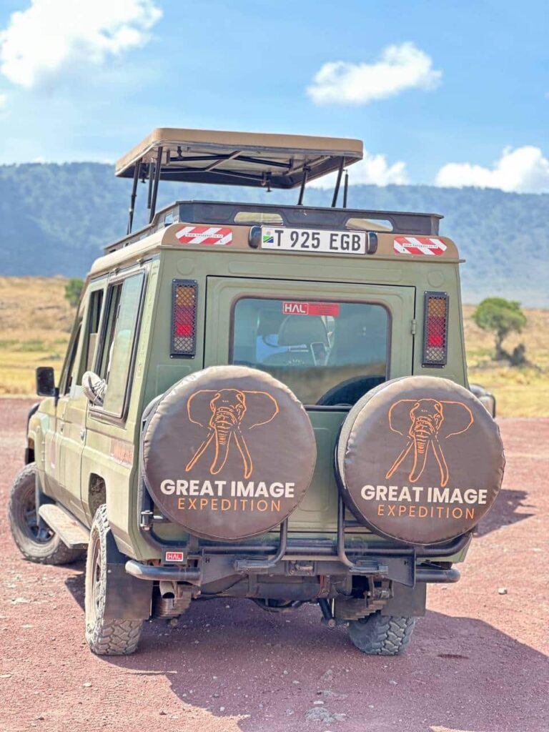 great image expedition safari jeep rear view